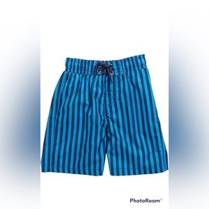 Beach Bros Little Boy’s Blue Stripe Swim Trunks| size: 3T